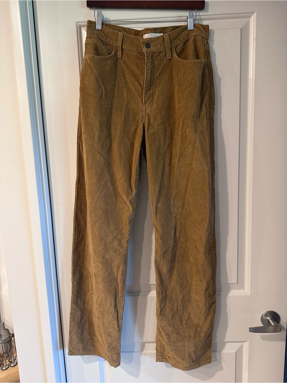 Levi's ‘94 Baggy Corduroys Light Brown Pants